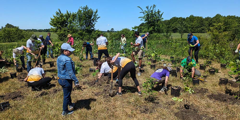 Volunteers plant trees at Oil Museum of Canada, National Historic Site